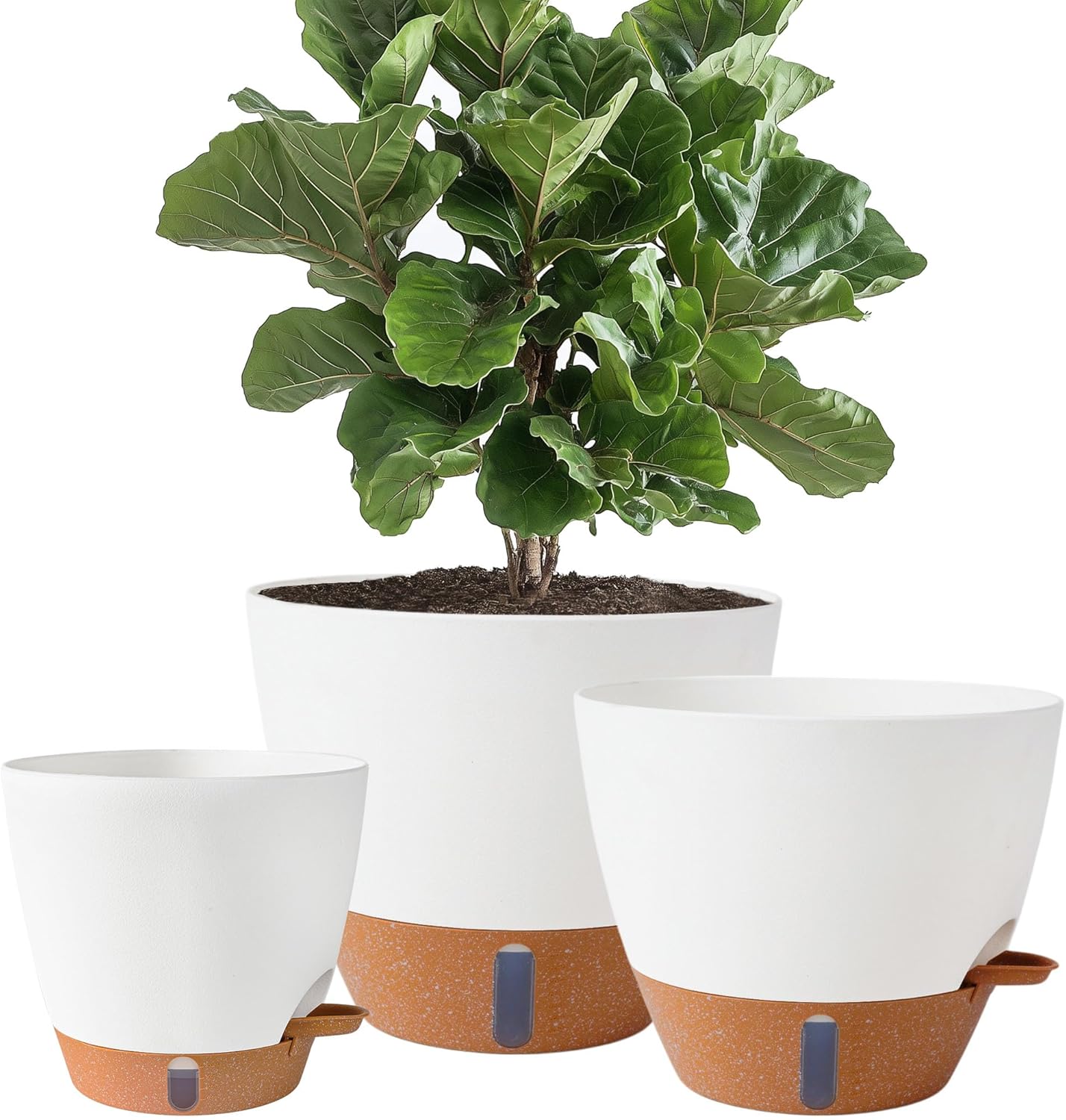 Felda Self-Watering Planters - product photo